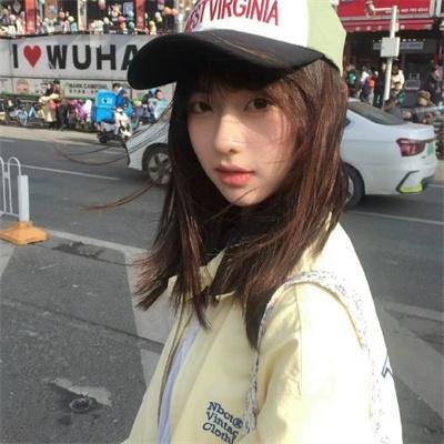 站立的动物故事